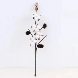 Cotton flower Flowers