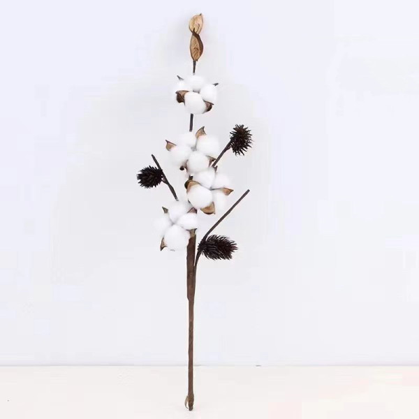 Cotton flower Flowers Cotton flower Flowers