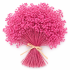 Dried Bouquet “Color Bloom” PINK