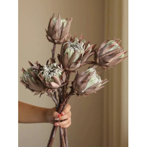 Flower Artichoke Flowers