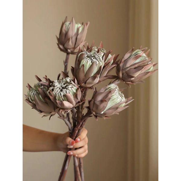Flower Artichoke Flowers Flower Artichoke Flowers
