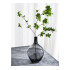 Glass jar "AMFOREAS M" 