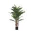Jamaica plant