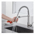Kitchen Faucet Chef with Flexible Shower