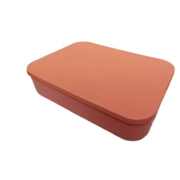 Κουτί Αποθήκευσης Με Καπάκι Flat ORANGE Κουτιά - Καλάθια