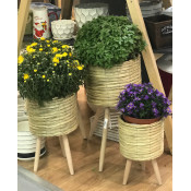  Pots 